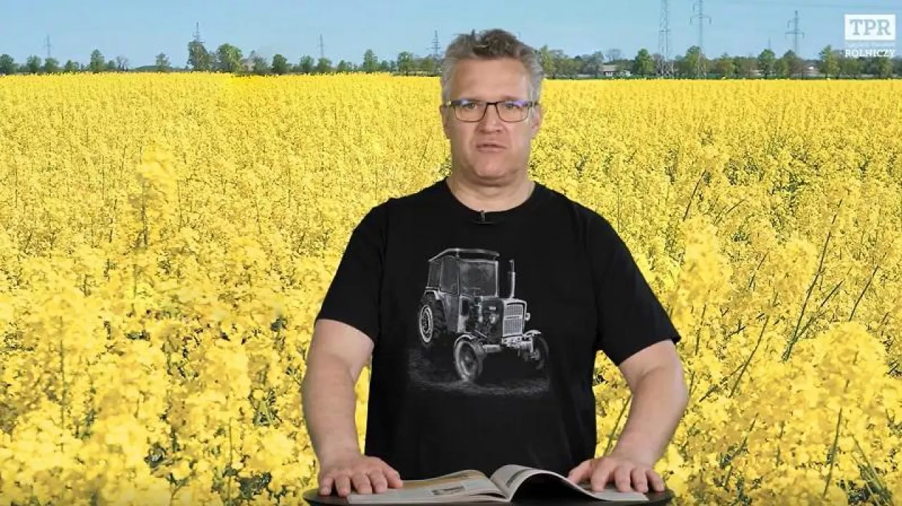 Hands with grain corn. Male farmers hands holding malt or cereal grains.