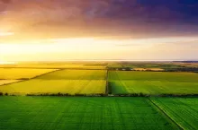Aerial view on the field during sunset. Landscape from drone. Agricultural landscape from air. Agriculture - image