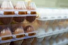 Close up of packaging with chicken eggs on shelves in a warehouse.