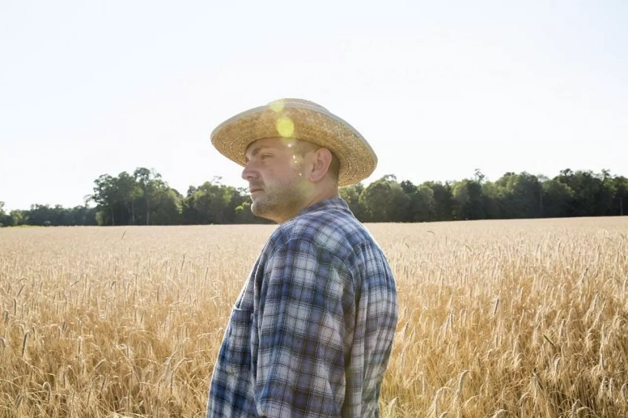 Man wearing a checkered shirt and a hat standing in a cornfield, a farmer.