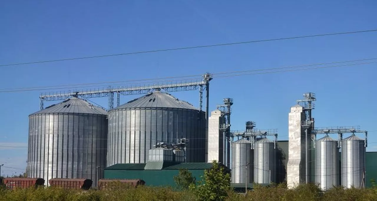 Steel silos for grain storage and processing facilities. Modern elevator