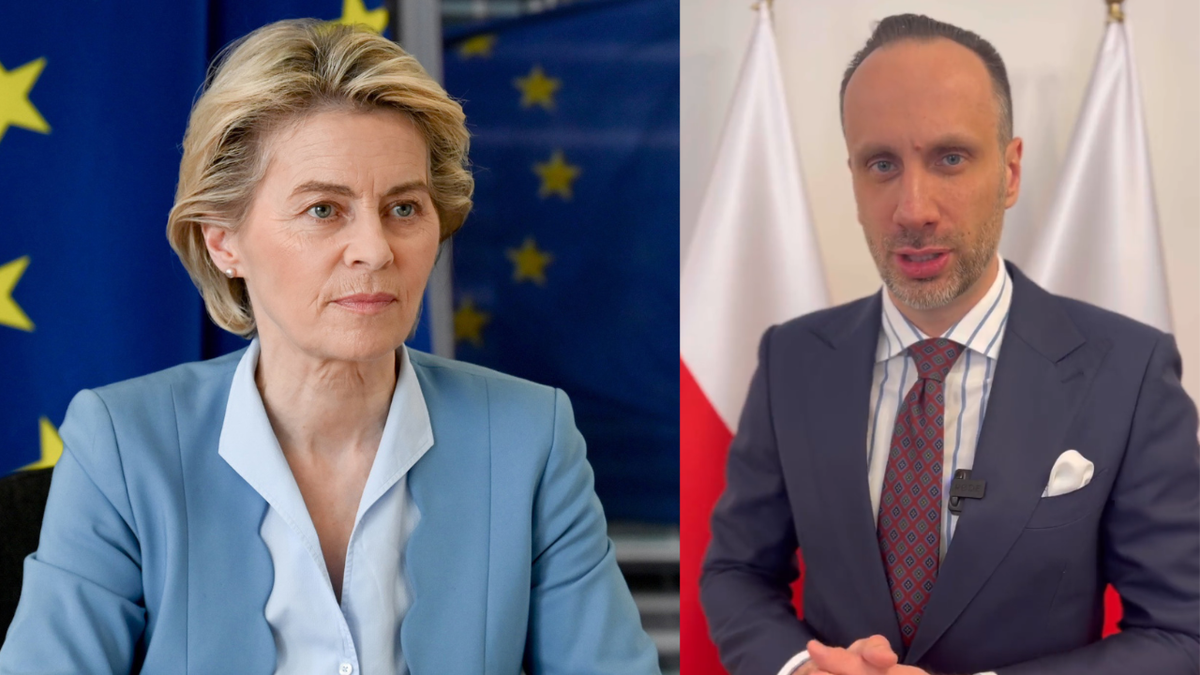 Wiceminister Rolnictwa Janusz Kowalski Obwinia Ursulę Von Der Leyen Za ...