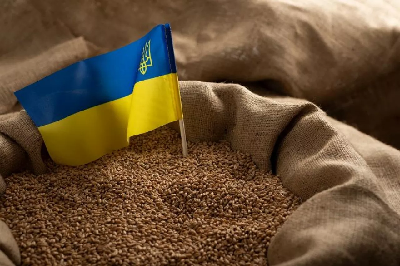 Burlap sack with wheat grains and Ukrainian flag concept