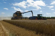 Thresher harvesting wheat