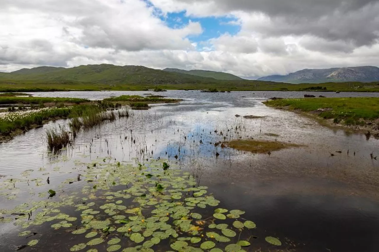 Peat bog in County Mayo in the Republic of Ireland.