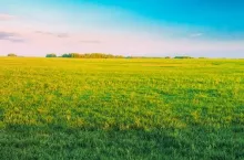 panorama Countryside Rural Field Landscape Under Scenic Spring Blue Clear Sunny Sky. Skyline. Agricultural Landscape