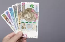 Polish money - Zloty in the hand on a gray background