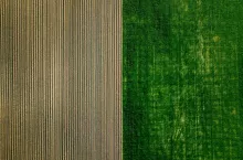 Aerial view of potato rows field in agricultural landscape in Finland