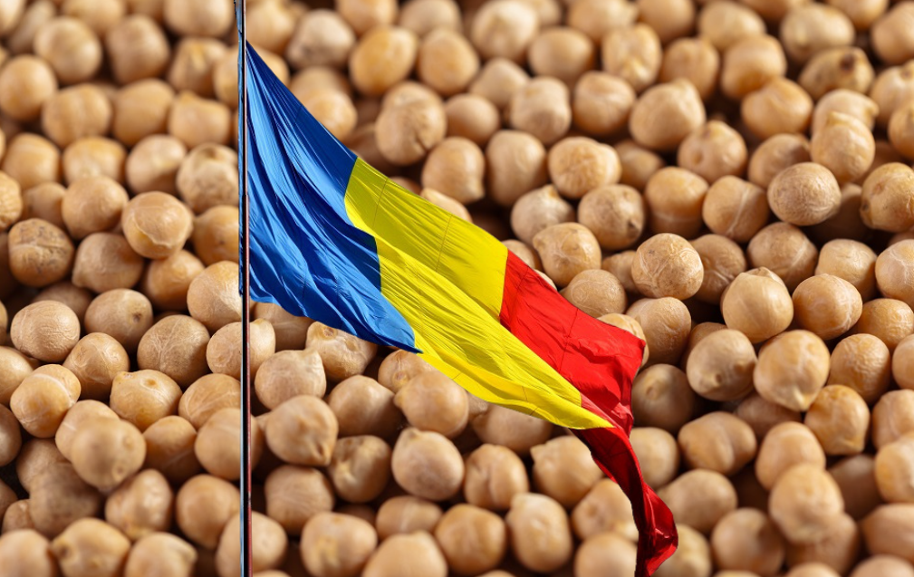 Importul de grâu, porumb, floarea soarelui și boabe de soia va fi permis numai în baza unui acord special.  Ce condiții impune România?
