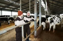 Two young farmers in workwear standing by cowshed at working meeting and discussing opportunities of improvement of cattle keeping