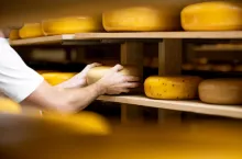 &lt;p&gt;Największym producentem serów w UE są Niemcy, Polska znajduje się na 5 miejscu. Zobacz statystyki!&lt;/p&gt;