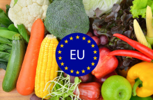 &lt;p&gt;promocja żywności unia europejska plan na 2024 rok&lt;/p&gt;