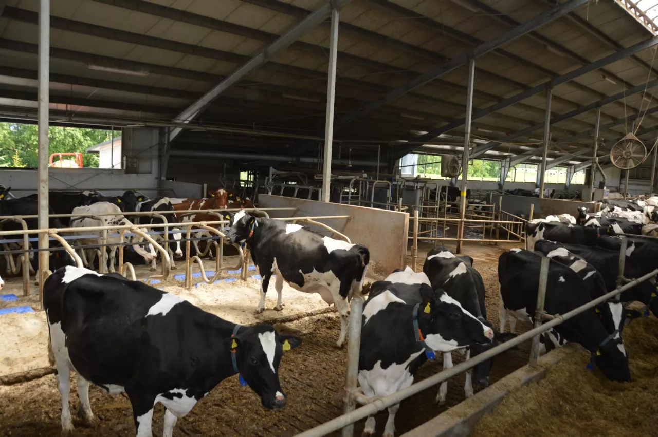 &lt;p&gt;Średnia cena przetworów mlecznych na giełdzie Global Dairy Trade z dn. &lt;strong&gt;2 stycznia 2024 r. wzrosła o 1,2% do 3 363 USD/t.&lt;/strong&gt;&lt;/p&gt;