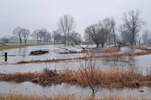 Łąki położone przy ciekach wodnych zalane były niekiedy przez ponad dwa miesiące. Na zdjęciach łąki zlokalizowane w samym sercu Wielkopolski.