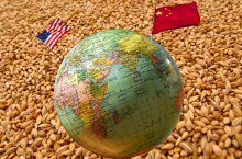 dostawy pszenicy chiny Ameryka