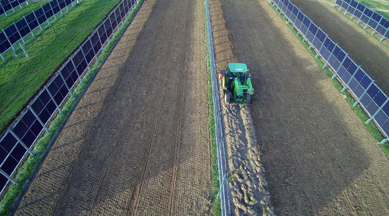 Dzięki agrofotowoltaice między nieuprawnymi pasami z konstrukcją PV, ok. 90% całkowitej powierzchni pola może być nadal wykorzystywane rolniczo.