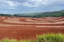 Rolnictwo Brazylii 