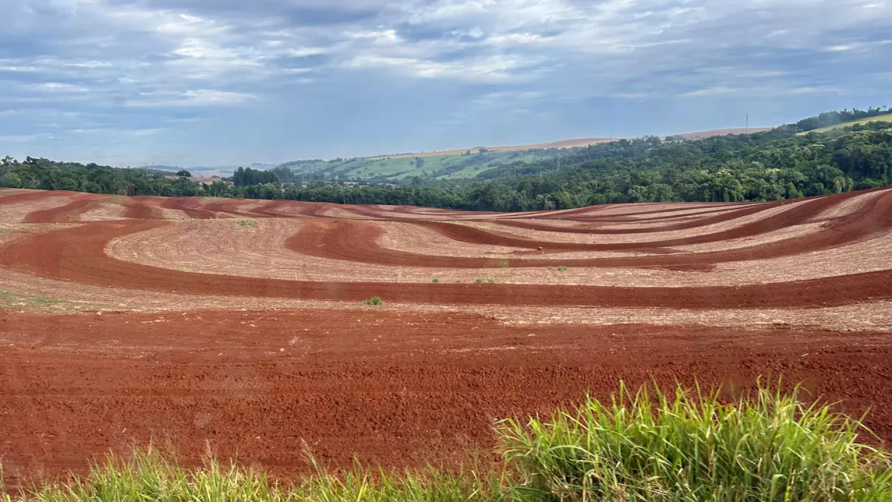 Rolnictwo Brazylii 