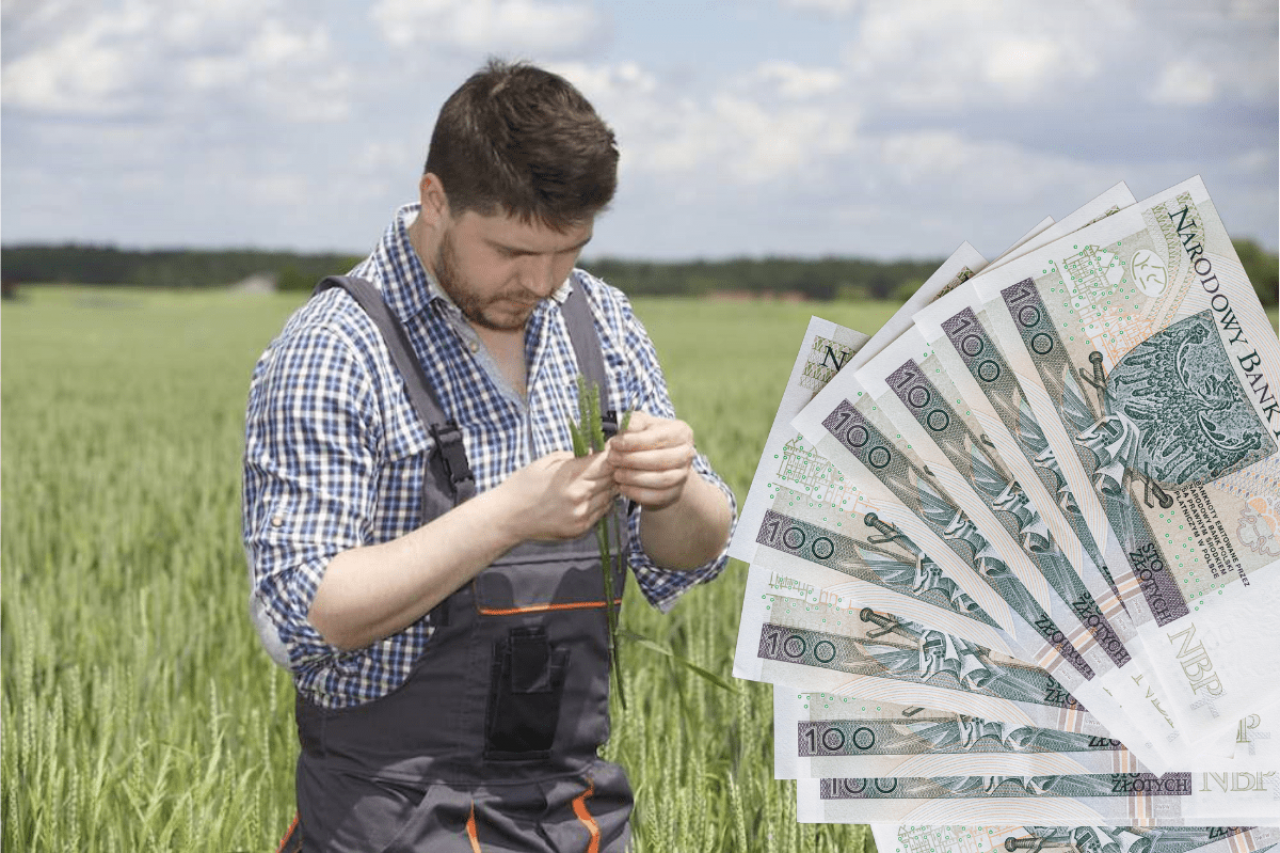 Młody rolnik 2024: wypłata premii nawet po 1,5 roku! Jakie zmiany?