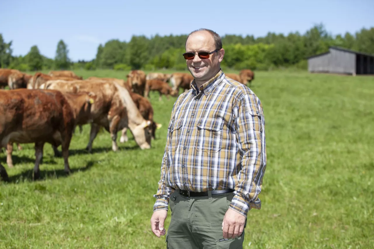 Krowy z gospodarstwa w Tarnawce wypasają się na kwaterach o łącznej powierzchni 130 ha. Mamki przeważają w rasie limousine.