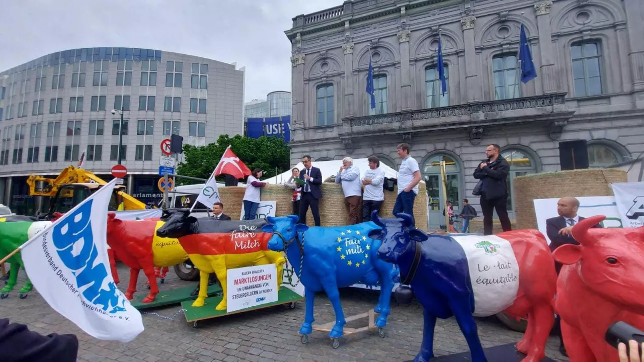Protest producentów mleka w Brukseli (27.05.2024)