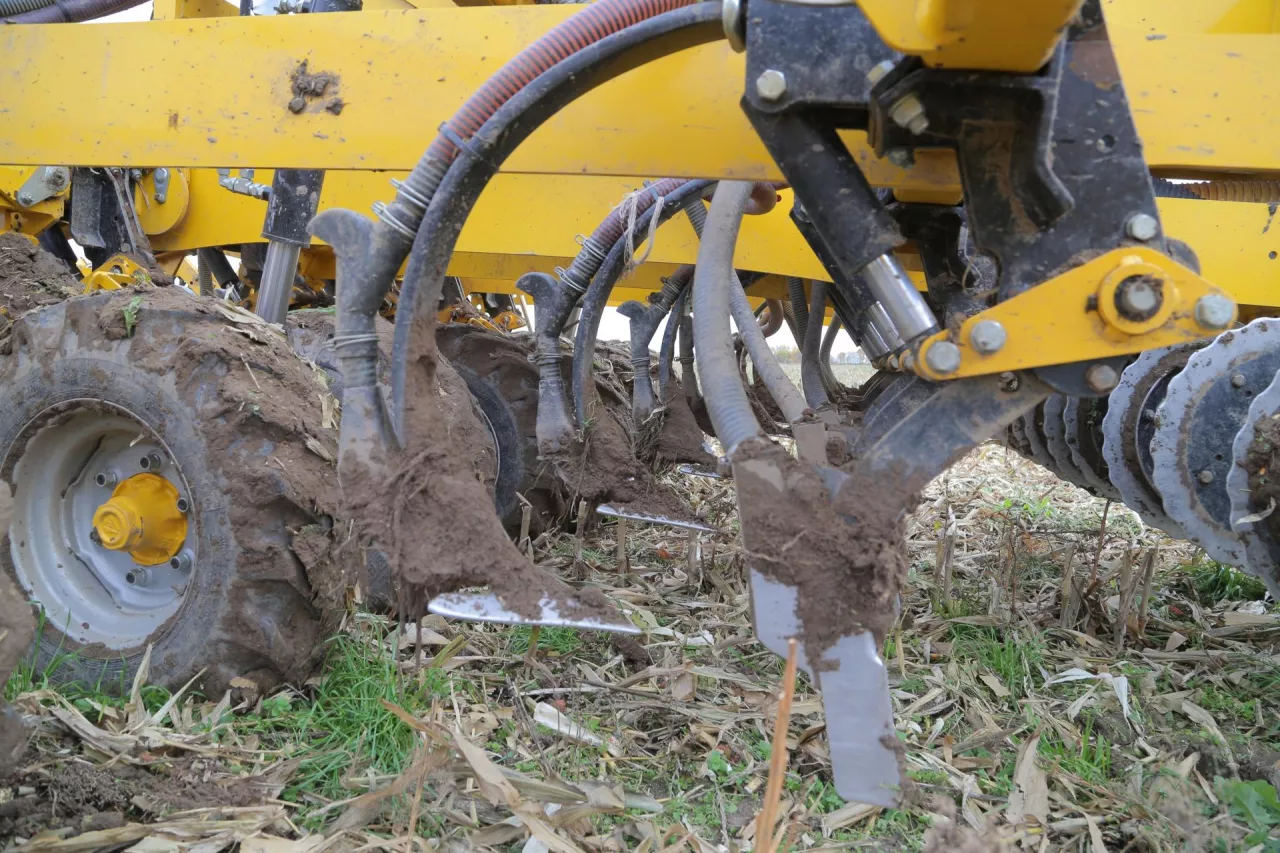 Użytkowany w gospodarstwie siewnik Claydon Hybrid ma talerze nacinające glebę, za którymi pracują redlice nawozowe. Nasiona wysiewają redlice stopkowe w konfiguracji zależnej od rodzaju materiału siewnego.