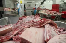 Brak ożywienia na rynku świń w Niemczech i Europie