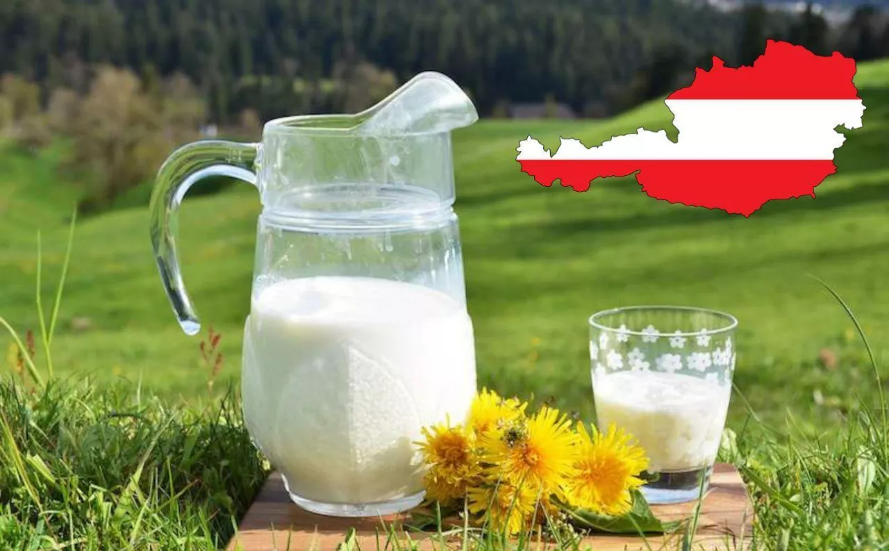 Austria zwiększyła produkcję mleka krowiego prawie do 4 mln ton