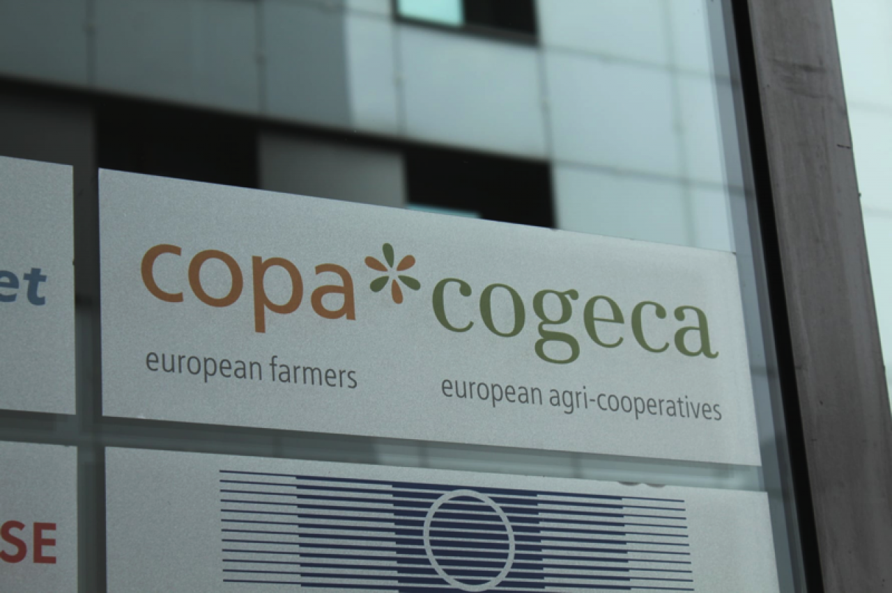 COPA-COGECA: Pierwsza kobieta na stanowisku sekretarza generalnego