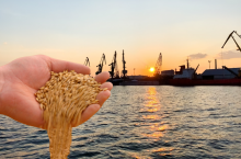 Ukraina: Rekordowy eksport 50,55 mln ton zbóż w sezonie 2023/24