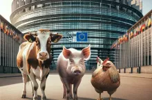 UE planuje nowe umowy handlowe. Co warto wiedzieć?