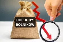 Dochody rolników w Anglii spadły o 19% w 2023 roku. Dlaczego?