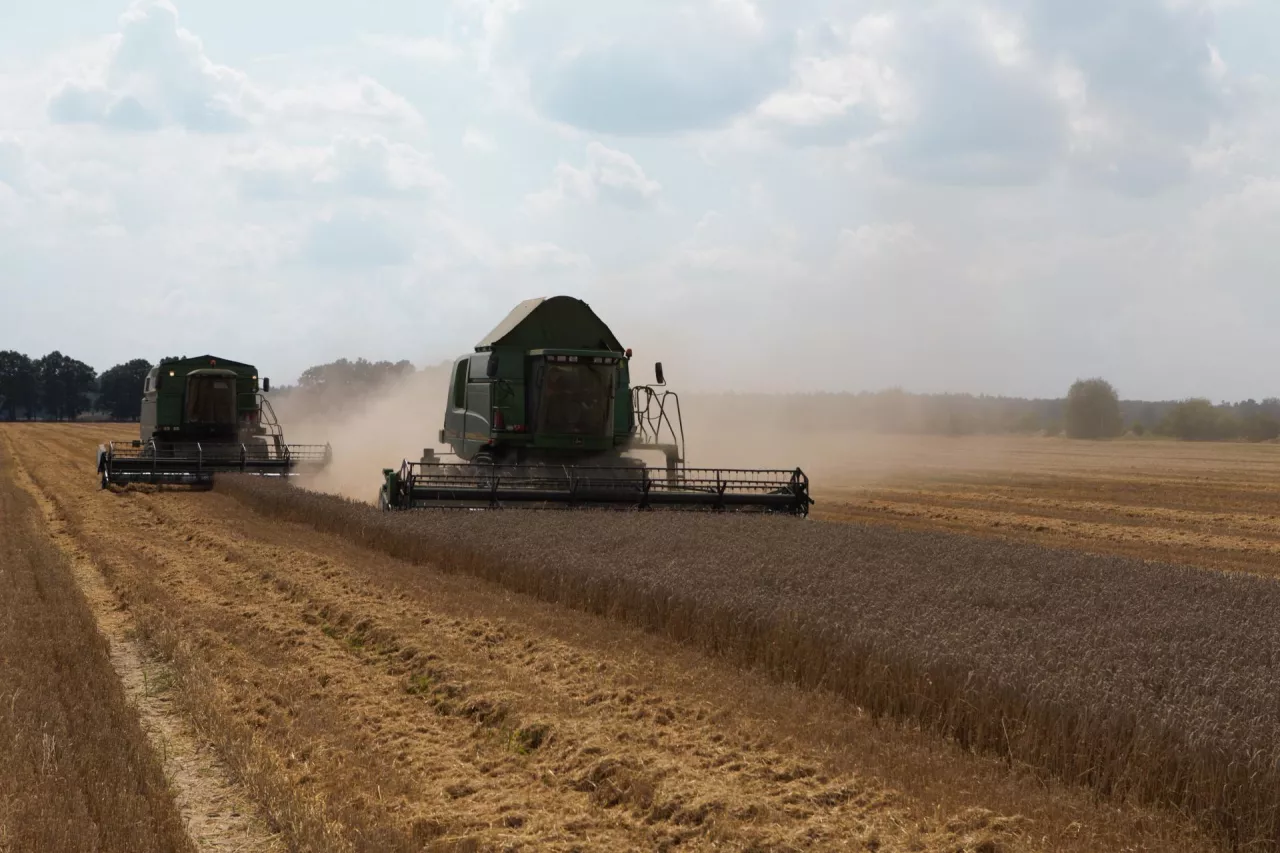 Żniwa w toku do raportu USDA