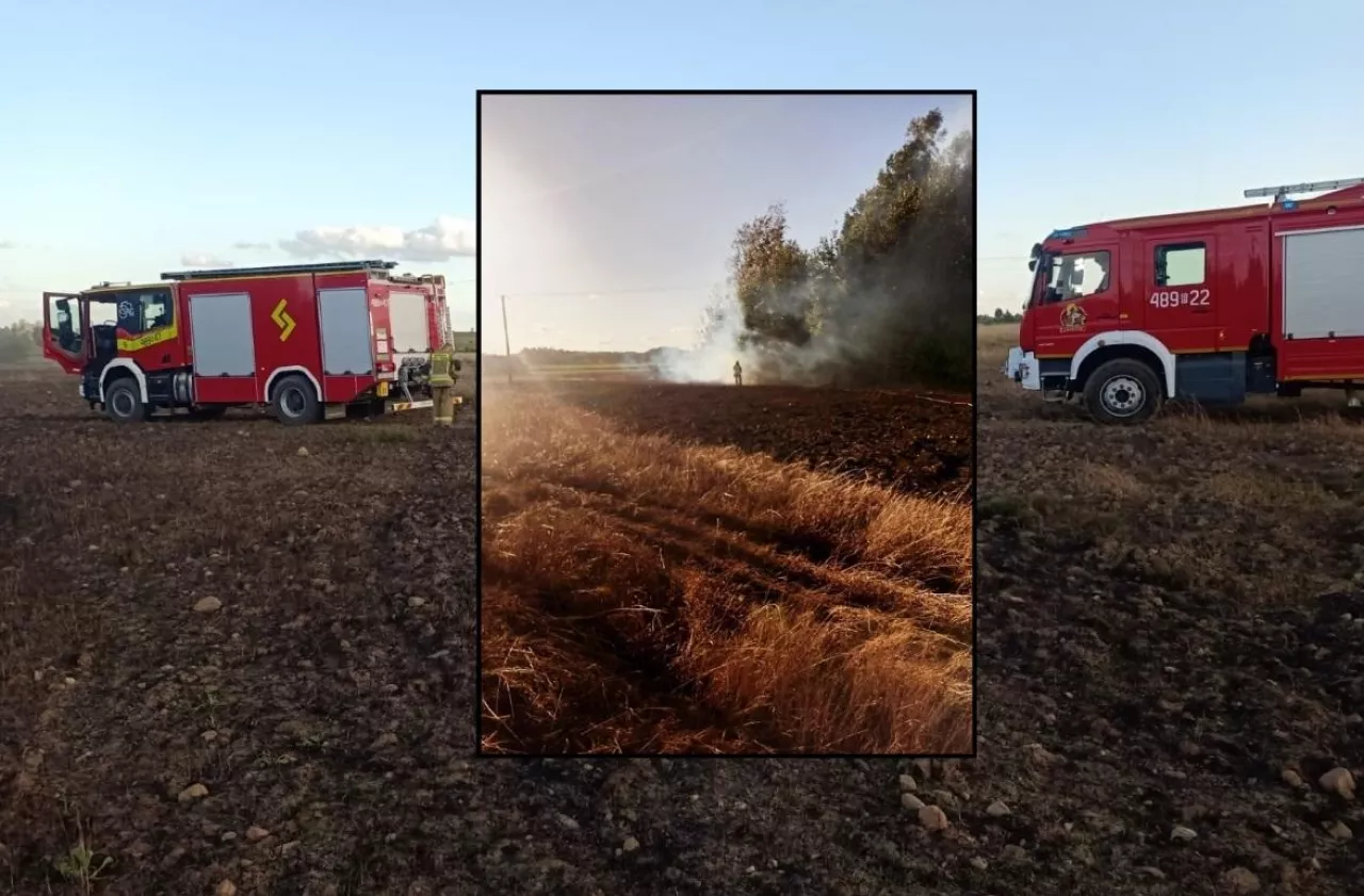 pożar zboża na pniu OSP w Janowie