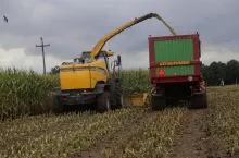 W wielu regionach kraju wystartował zbiór kukurydzy na kiszonkę. Sprawdziliśmy, ile w tym roku trzeba zapłacić za pełną usługę. Czy ceny się zmieniły?