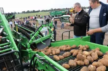 Zbiór ziemniaków na polu pokazowym zlokalizowanym tuż przy wystawie przyciągał setki zwiedzających. Po zapełnieniu przyczep ziemniaki trafiły na linie do przyjęcia i transportowania.