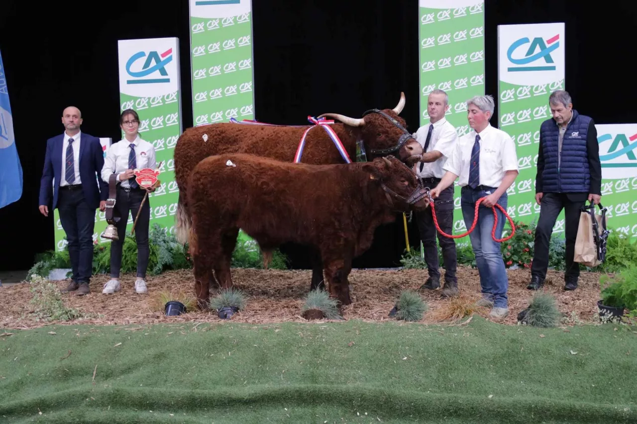 Na wystawie Sommet de l’Élevage we Francji, championem krajowego konkursu rasy salers została krowa River należąca do Gaec Duval.