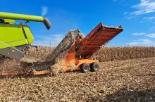 Osadki z kukurydzy to energetyczny materiał. Na pokazie maszyny Power Maize maszyna oprócz osadek zbierała także liście okrywowe kolb. Materiał trafiał do kompostowni, a następnie na cele doświadczalne przy produkcji podłoża do uprawy pieczarek.