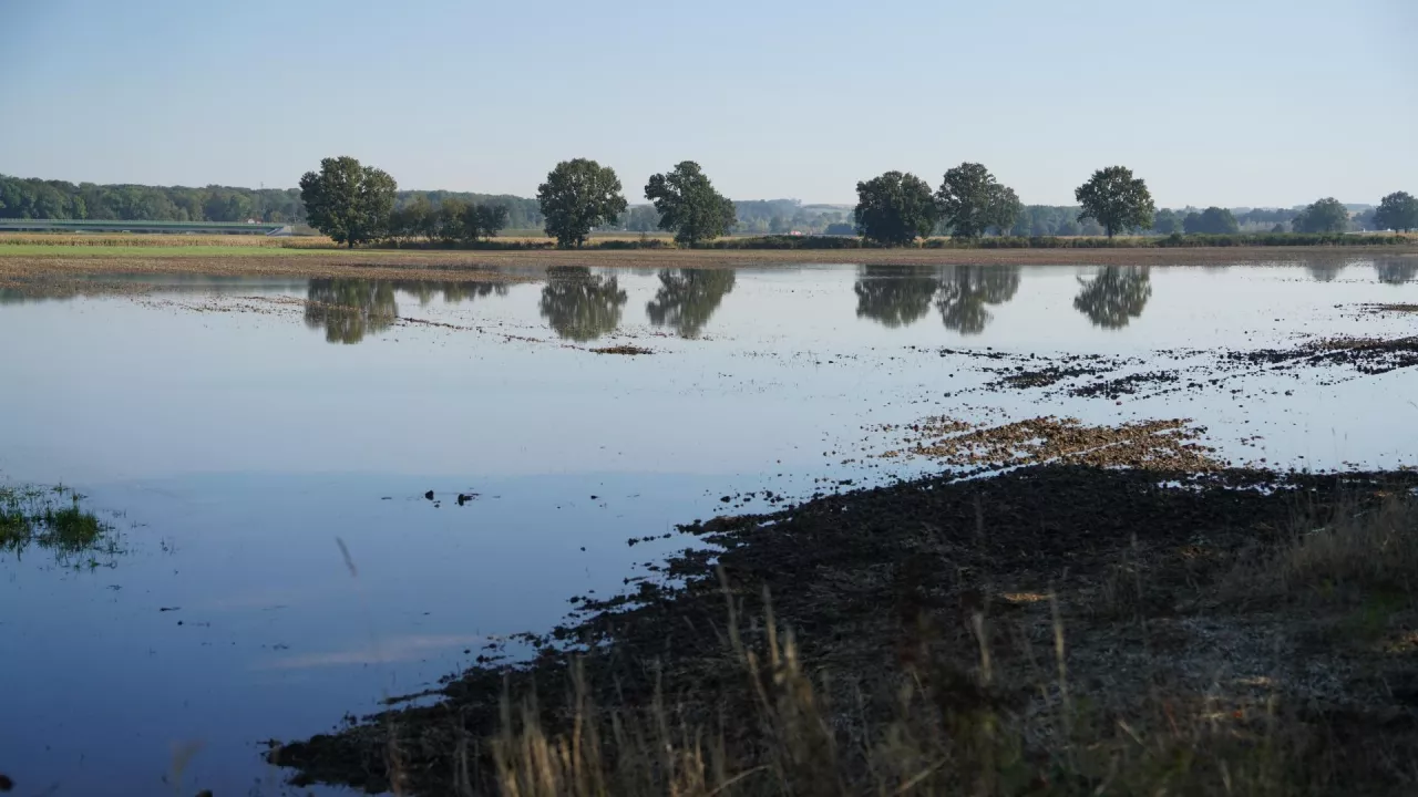 Komisja Europejska uruchamia 180 tys. zł wsparcia dla poszkodowanych rolników