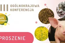 VIII konferencja PSPO