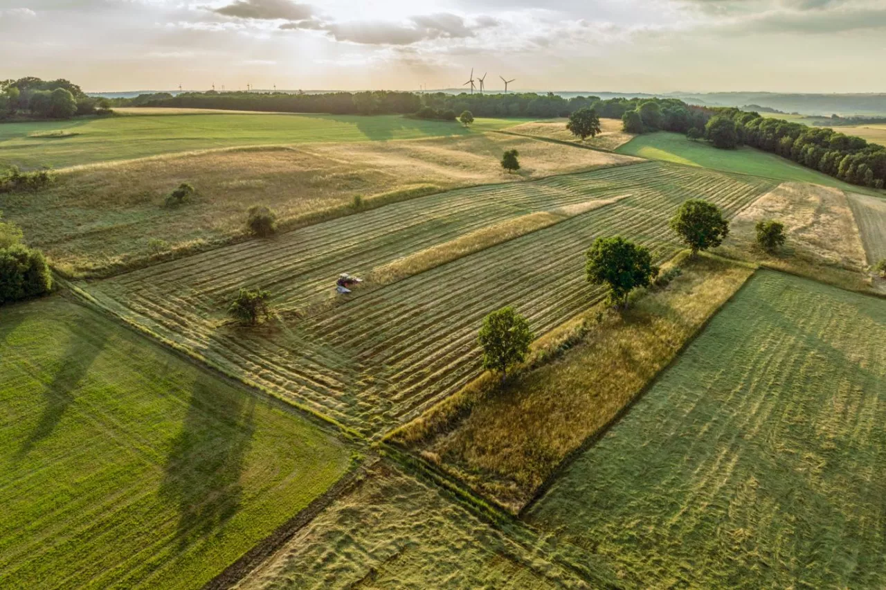 Czy w programie ”Inwestycje przyczyniające się do ochrony środowiska i klimatu” wymagana jest minimalna powierzchnia działki ewidencyjnej na obszarze Natura 2000, aby uzyskać dodatkowe punkty?