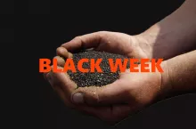 Rzepakowy Black Week