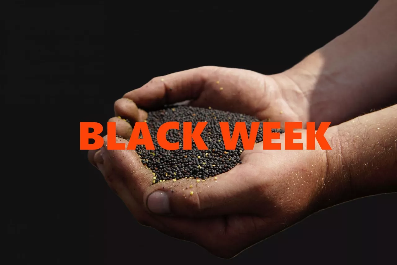 Rzepakowy Black Week