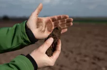 Organoleptyczne badanie gleby