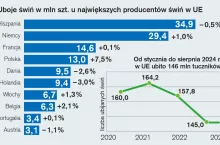 UE uboje 2024