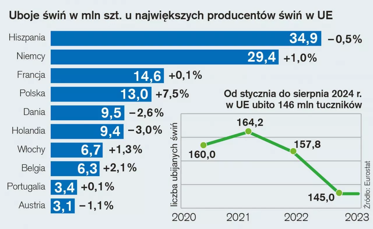 UE uboje 2024