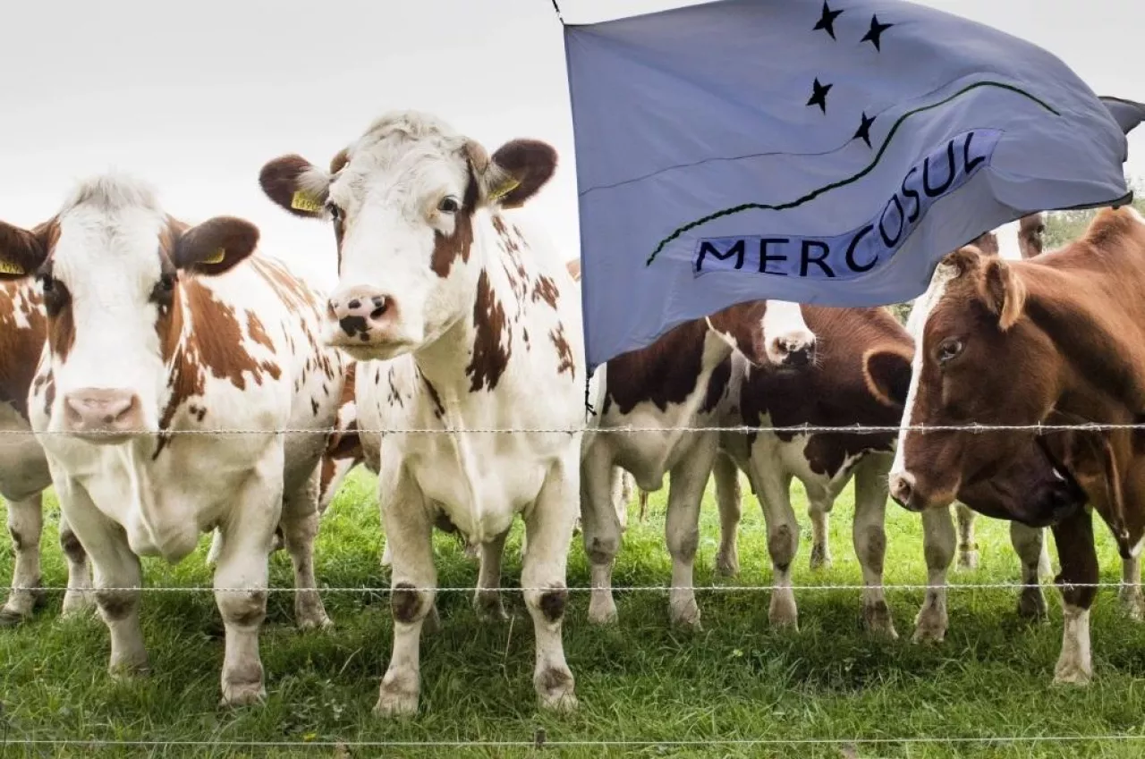 mercosur Brazylia import mięsa