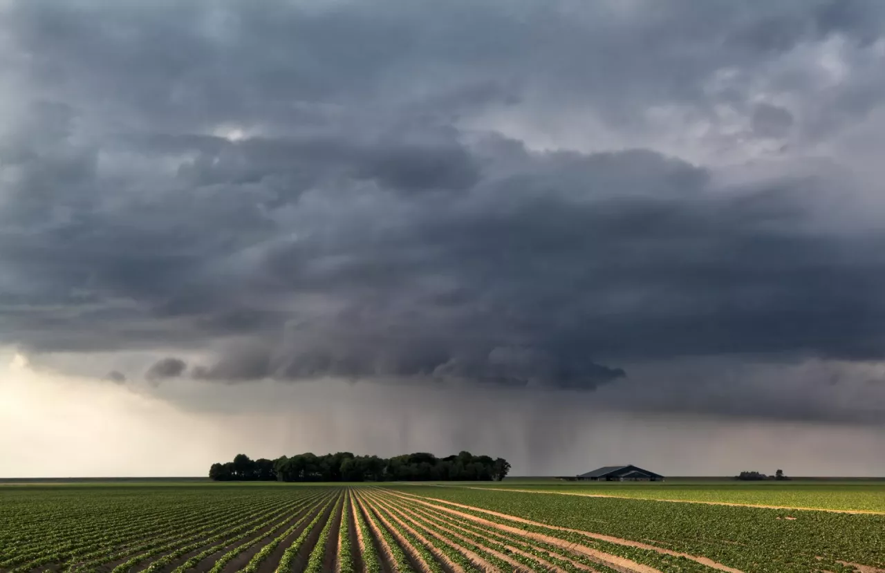 Rusza nabór na 3000 zł/ha i zwrot podatku rolnego