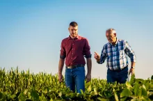 Two farmers walking in a field examining soy crop.