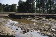 Do naszej Redakcji zgłosiła się jedna z poszkodowanych przez powódź rolniczek. Mimo, że woda wyrządziła w jej gospodarstwie olbrzymie straty otrzymała bardzo niską pomoc. Czy to znów wina nieprzemyślanego systemu, a pomoc dla poszkodowanych rolników to bujda na resorach?